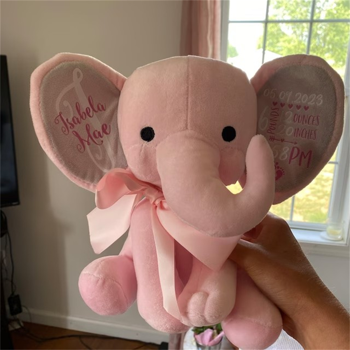 إحصائيات الميلاد المخصصة على ش - مراجعة Baby Nursery Keepsake وسعره